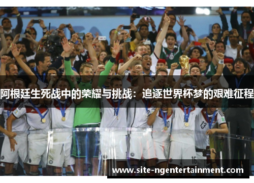 阿根廷生死战中的荣耀与挑战：追逐世界杯梦的艰难征程