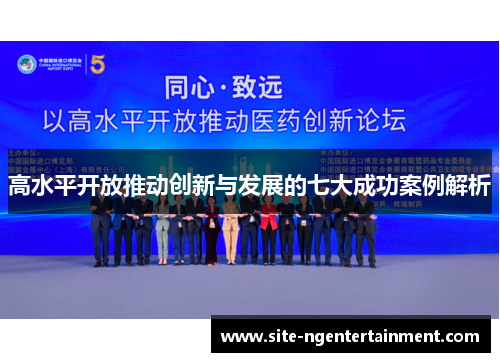 高水平开放推动创新与发展的七大成功案例解析 高水平开放推动创新与发展的七大成功案例解析