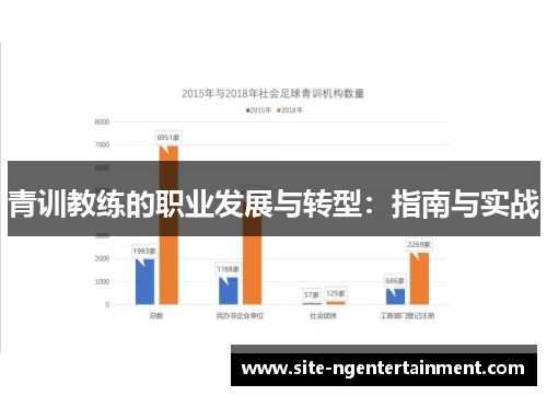 青训教练的职业发展与转型:指南与实战 青训教练的职业发展与转型:指南与实战