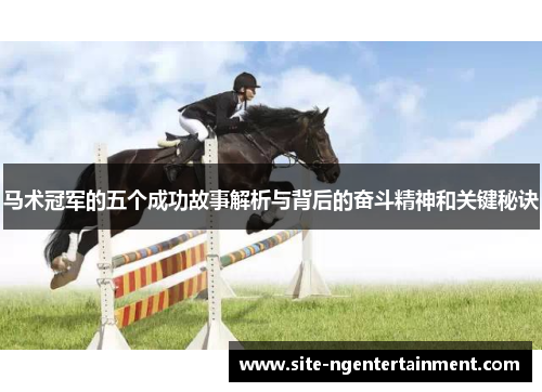 马术冠军的五个成功故事解析与背后的奋斗精神和关键秘诀