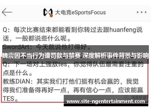 魏震因不当行为遭罚款与禁赛 深度解析事件背景与影响